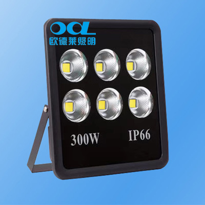 LED集成泛光灯 300W